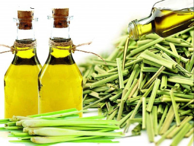 Lemon grass Oil (100Ml)